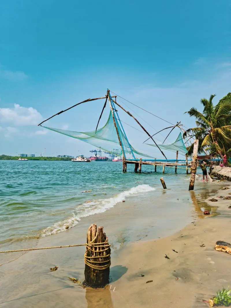 Chinese fishing nets on the Fort Kochi shoreline with coconut palms